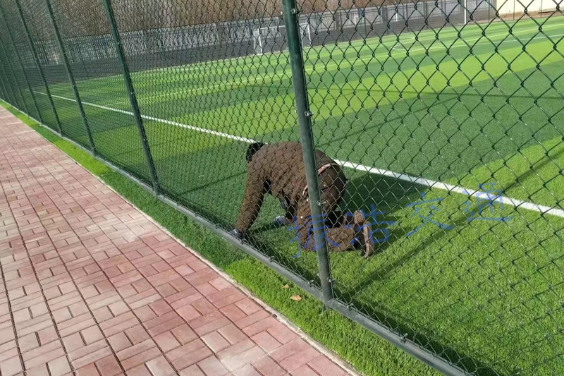 Hàng rào sân vận động